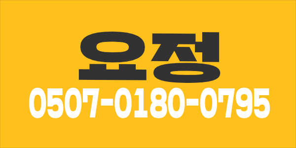⭐1인샵⭐️상주/초보 환영⭐분당1등⭐️안전우선
