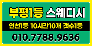 페이13+@ 복지최강 갯수최강 인천1등자부합니당