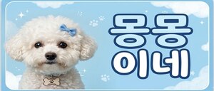 몽몽이네 매니저 모집 p:14+@